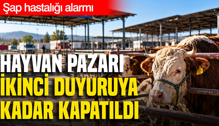 Şap hastalığı alarmı: Hayvan pazarı ikinci duyuruya kadar kapatıldı