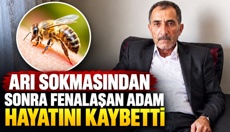 Arı sokmasından sonra fenalaştı: 61 yaşındaki adam hayatını kaybetti