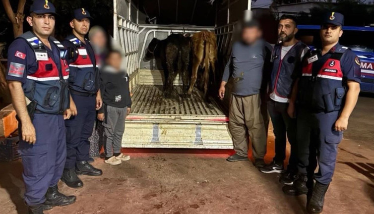 Jandarma çalınan 13 hayvanın izini sürdü: 3 büyükbaş sahibine verildi