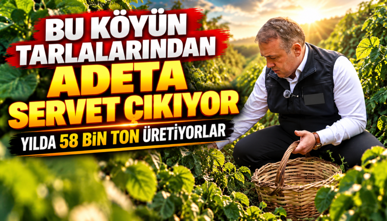 Bu köyün tarlalarından adeta servet çıkıyor: Yılda 58 bin ton üretiyorlar