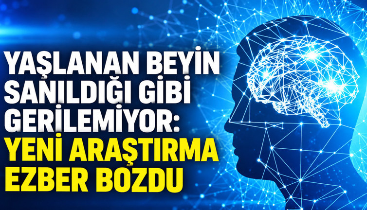 Yaşlanan beyin sanıldığı gibi gerilemiyor: Yeni araştırma ezber bozdu