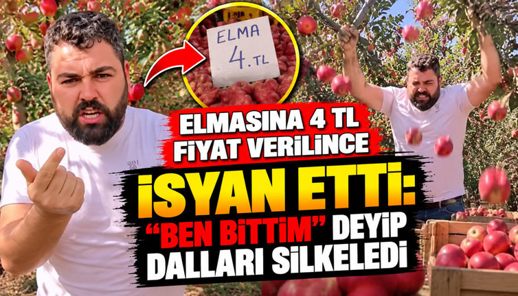 Elmasına 4 TL fiyat verilince isyan etti: "Ben bittim" deyip dalları silkeledi