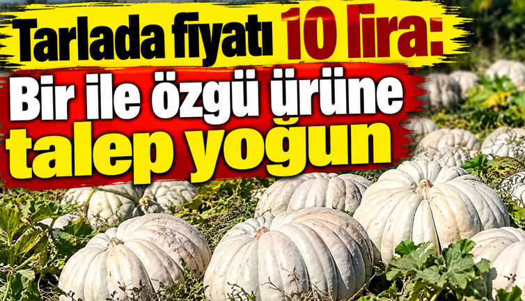 Tarlada fiyatı 10 lira: Bir ile özgü ürüne talep yoğun