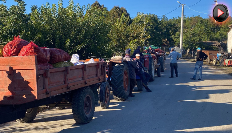 Sabahın ilk ışıklarında emek kuyruğu: Kilosu 40 TL: Her akşam 4 TIR yola çıkıyor