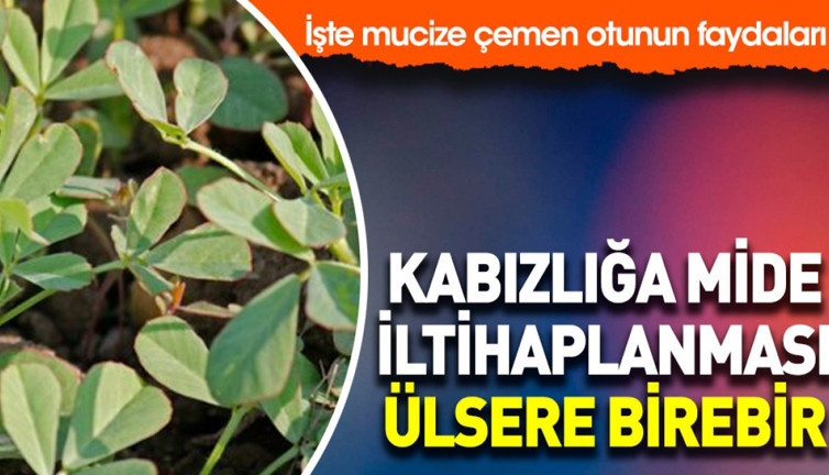 Kabızlık mide iltihaplanması ülsere birebir. İşte mucize çemen otunun faydaları