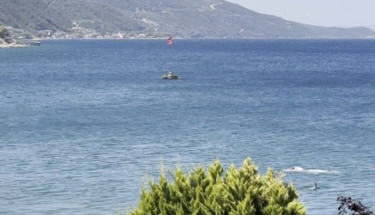 Yüzerken bir anda burun buruna geldi! Neye uğradığına şaşırdı