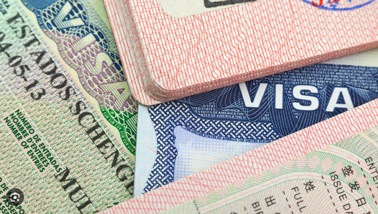 Vize randevularında kriz dalga dalga büyüyor: Aracılara para kaptırmayın - Resim: 2