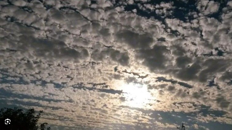 Meteoroloji 81 ili tek tek uyardı: Hafta sonu yağmurları bitti, güneşli hava geri döndü - Resim: 9