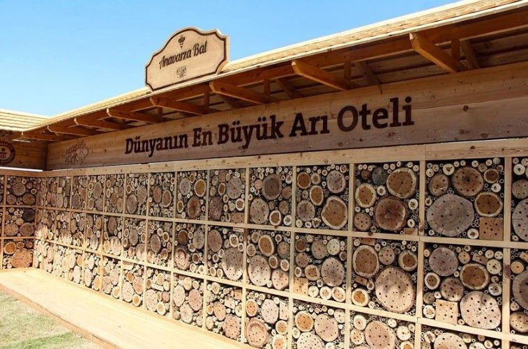 Adana'da dünya rekoru kırıldı: Guinness tescil etti - Resim: 4