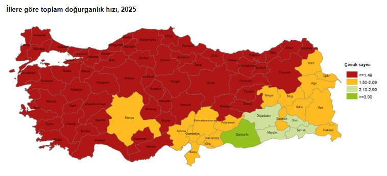 TÜİK’ten Türkiye’yi sarsacak rapor: Cumhuriyet tarihinin en düşük seviyesinde - Resim : 4
