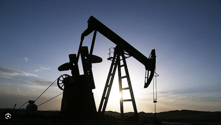 Dünyanın en büyük petrol şirketi, OYAK ile ortak oluyor: Karış karış enerji çıkaracaklar - Resim: 8