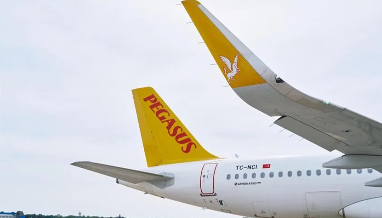 THY, AJet ve Pegasus seferleri dahil 50 bin uçuş birden iptal oldu - Resim: 15