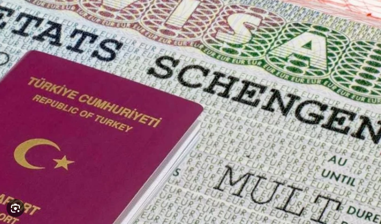 Vize randevularında kriz dalga dalga büyüyor: Aracılara para kaptırmayın - Resim: 6