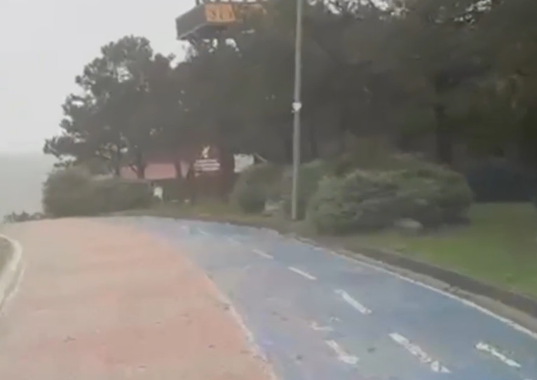 Arkasında sadece para ve bir not bıraktı: İstanbul'da ormanda izini kaybettirdi - Resim : 2