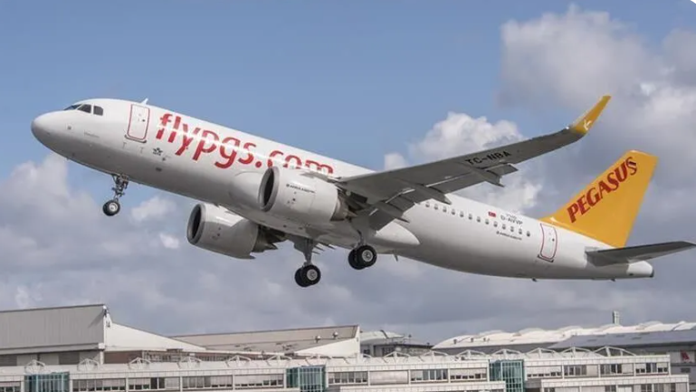 THY, AJet ve Pegasus seferleri dahil 50 bin uçuş birden iptal oldu - Resim: 6