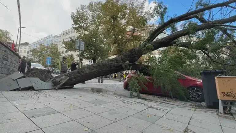 Harbiye'de korkutan anlar: Fırtına ağacı otomobilin üzerine devirdi - Resim : 1