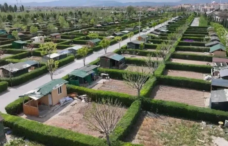 Hobi bahçesi için yeni düzenlemeler yolda: Ayrıntılar ortaya çıktı - Resim: 4