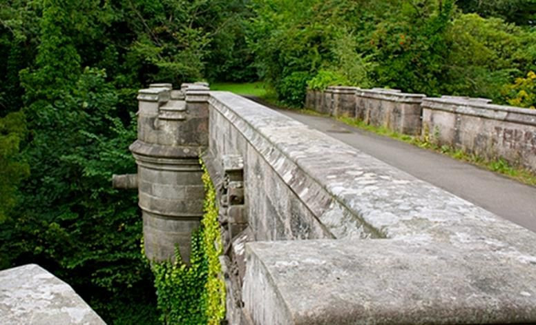 Köpeklerin intihar ettiği yer gizemini koruyor... Hayvanseverlerin kabus yeri - Resim: 12
