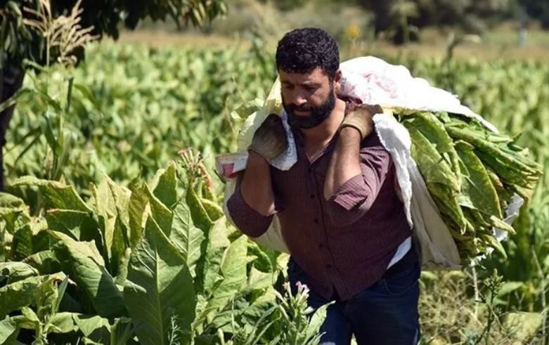 Şehrinizde en çok hangi meslek kazandırıyor? İşte il il en kazançlı işler - Resim: 2