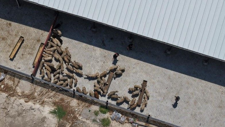 3 çocuk annesi devlet desteğiyle başladı: Şimdi paraya para demiyor - Resim: 13