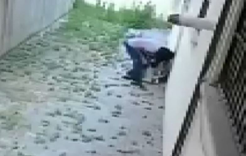 Hem arsız hem inatçı: Ağır gelen klimayı arkadaşıyla gelip böyle çaldı - Resim: 10