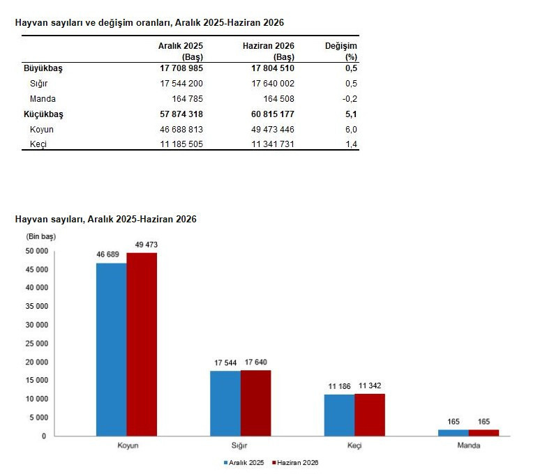 TÜİK hayvancılık istatistiklerini açıkladı: İşte Türkiye'deki hayvan sayısı - Resim : 1