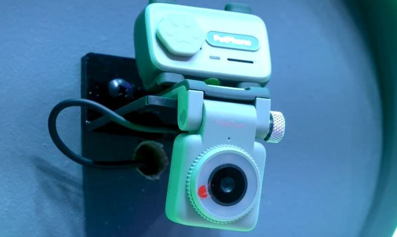 Evcil hayvanlar için tasarlanan ilk akıllı telefon tanıtıldı... Bu özelliğine inanamayacaksınız - Resim: 4