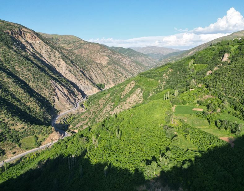 Doğaseverlerin yeni gözdesi: Bu ilçede besin sıkıntısı yok - Resim: 1