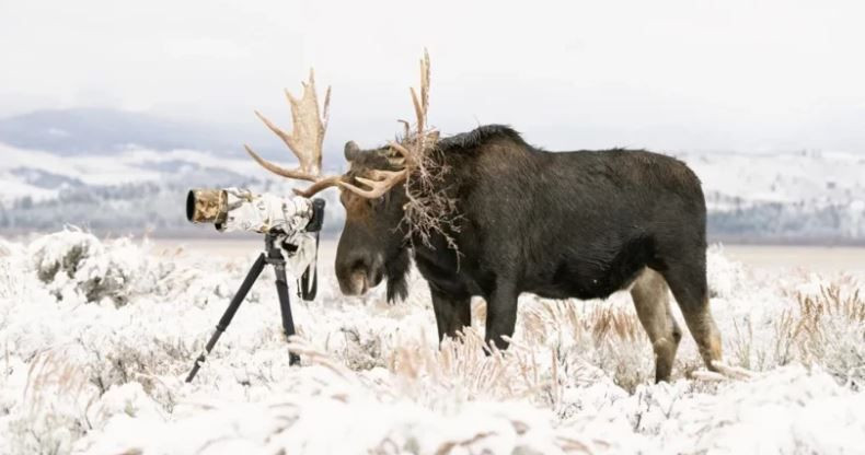 Dünya Doğa Fotoğrafçılığı Ödülleri’nde kazananlar belli oldu - Resim: 8