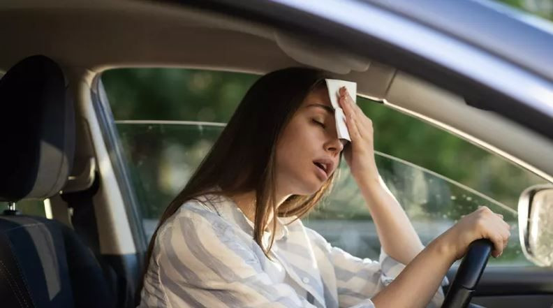 Türkiye'yi kabus gibi bir yaz bekliyor: Termometreler neye uğradığını şaşıracak - Resim: 6