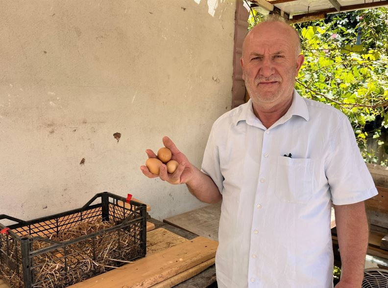 Azılı hırsız her gün kümesten yumurta çalıyor: Faili buldu ama polise şikayet edemiyor - Resim : 3