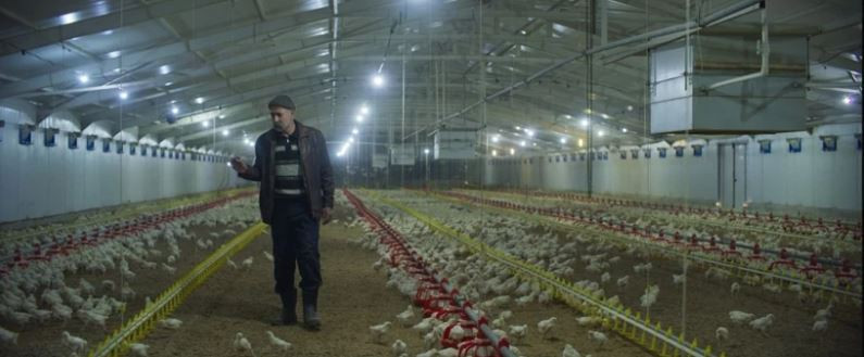 Hi&ccedil;bir işletmeci şehitlerden geriye kalan sıvasız evlerin trajedisini istemedi! Skandal gerek&ccedil;e - Resim : 2