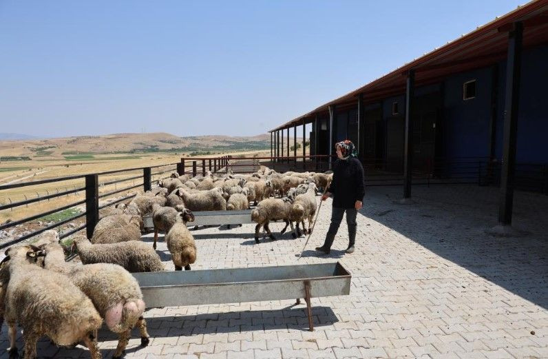 3 çocuk annesi devlet desteğiyle başladı: Şimdi paraya para demiyor - Resim: 5