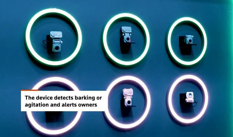 Evcil hayvanlar için tasarlanan ilk akıllı telefon tanıtıldı... Bu özelliğine inanamayacaksınız - Resim: 3