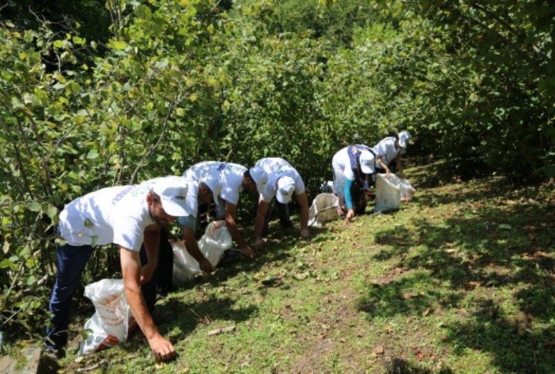 Hasat başlamadan ücretleri belli oldu: Günde 1750 TL kazanacaklar - Resim: 4