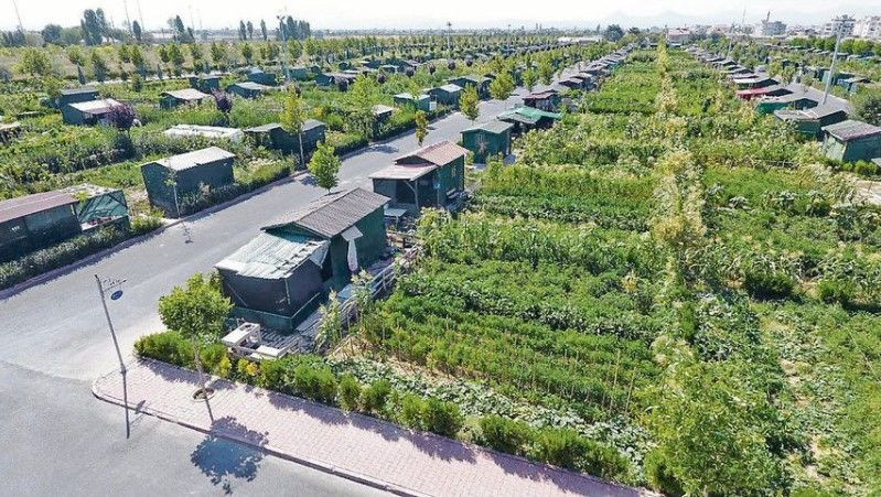 Hobi bahçesi için yeni düzenlemeler yolda: Ayrıntılar ortaya çıktı - Resim: 5