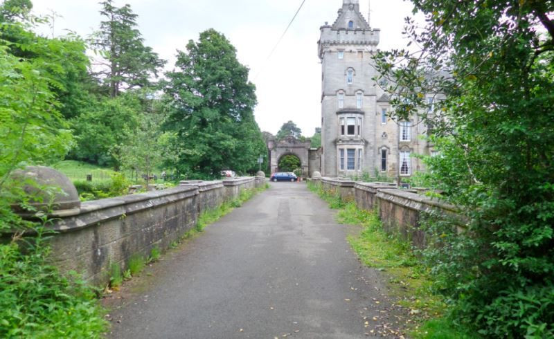 Köpeklerin intihar ettiği yer gizemini koruyor... Hayvanseverlerin kabus yeri - Resim: 2
