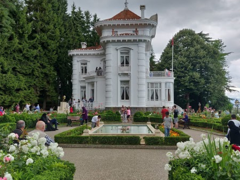 Atat&uuml;rk hangi filmleri izledi, nerede izledi ve neden bu kadar &ouml;nemsedi? - Resim : 4