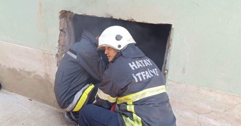 Hatay’da odunluk yangını - Resim : 1
