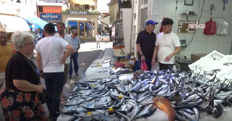 Tanesi 150 lirayı buluyor: Sezondan umut yüksek - Resim: 4