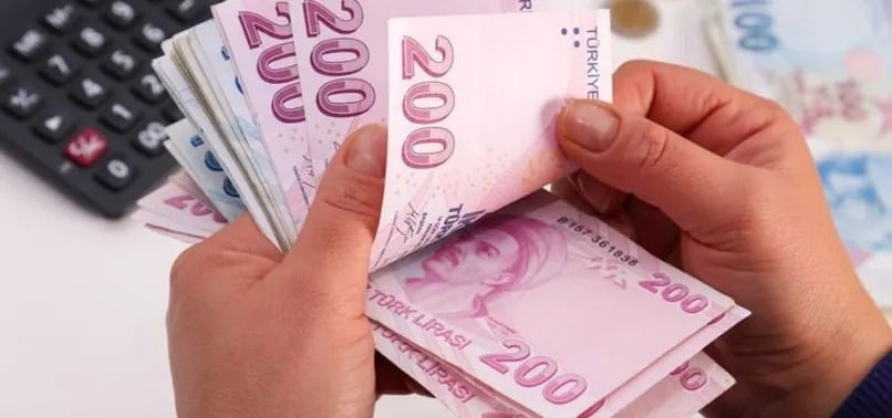 Bu işi yapanlara ev ve araba veriyorlar: Hem iş hem mal sahibi yapıyorlar - Resim: 3