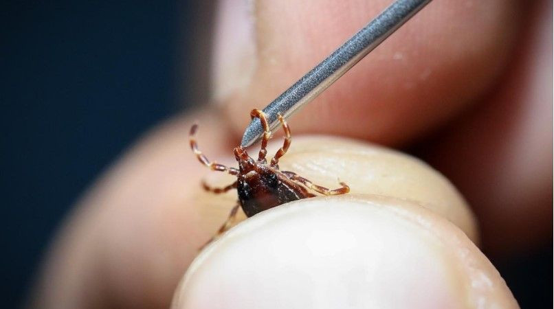 Bir kenti korkutan olay: 5 kişi aynı nedenden hayatını kaybetti - Resim: 2