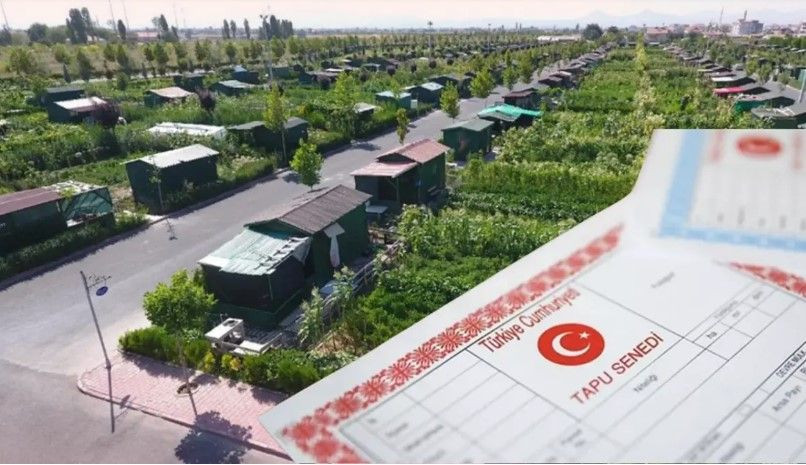 Hobi bahçesi için yeni düzenlemeler yolda: Ayrıntılar ortaya çıktı - Resim: 8