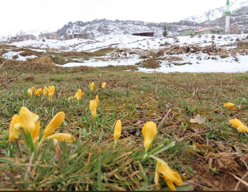 Sadece 14 gün görebileceksiniz: Kaçırmayın ama çiğnemeyin - Resim: 4