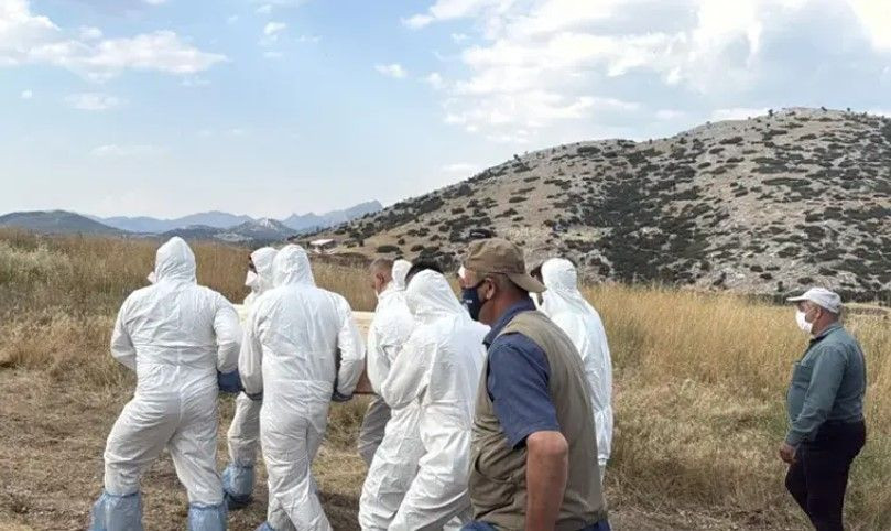 Bir ısırıkla başı döndü iştahtan kesildi: 15 gün sonra hayatını kaybetti - Resim: 3