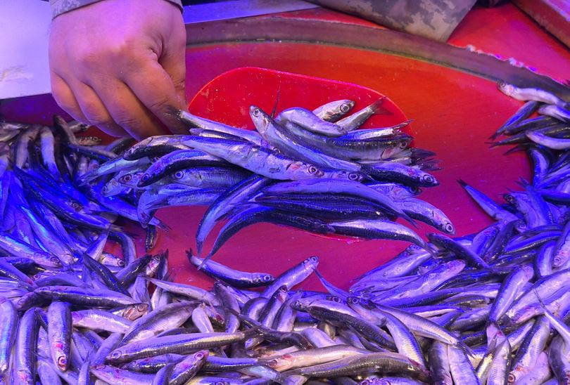 Fiyatı g&ouml;ren soluğu tezg&acirc;hta aldı: Metrelerce kuyruk oluştu: Eskişehir&rsquo;de hamsi mesaisi - Resim : 2