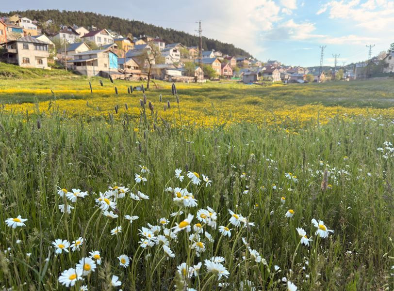 Doğanın tüm renkleri burada buluştu: Yazın ortasında soba yaktıran cennet - Resim: 7