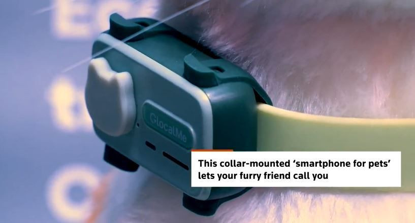 Evcil hayvanlar için tasarlanan ilk akıllı telefon tanıtıldı... Bu özelliğine inanamayacaksınız - Resim: 9