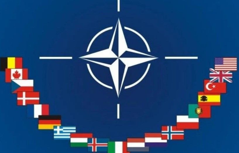 Son anket Asal'dan: Türkiye dış politikada hangi ülke veya ülkelerle birlikte hareket etmelidir? - Resim: 9