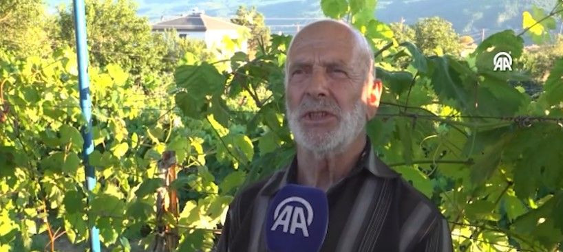 Altın değerindeki ürünün hasadı başladı: Kilosu 150 liradan kapış kapış satılıyor - Resim: 2